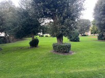View of the grounds from the dining area.