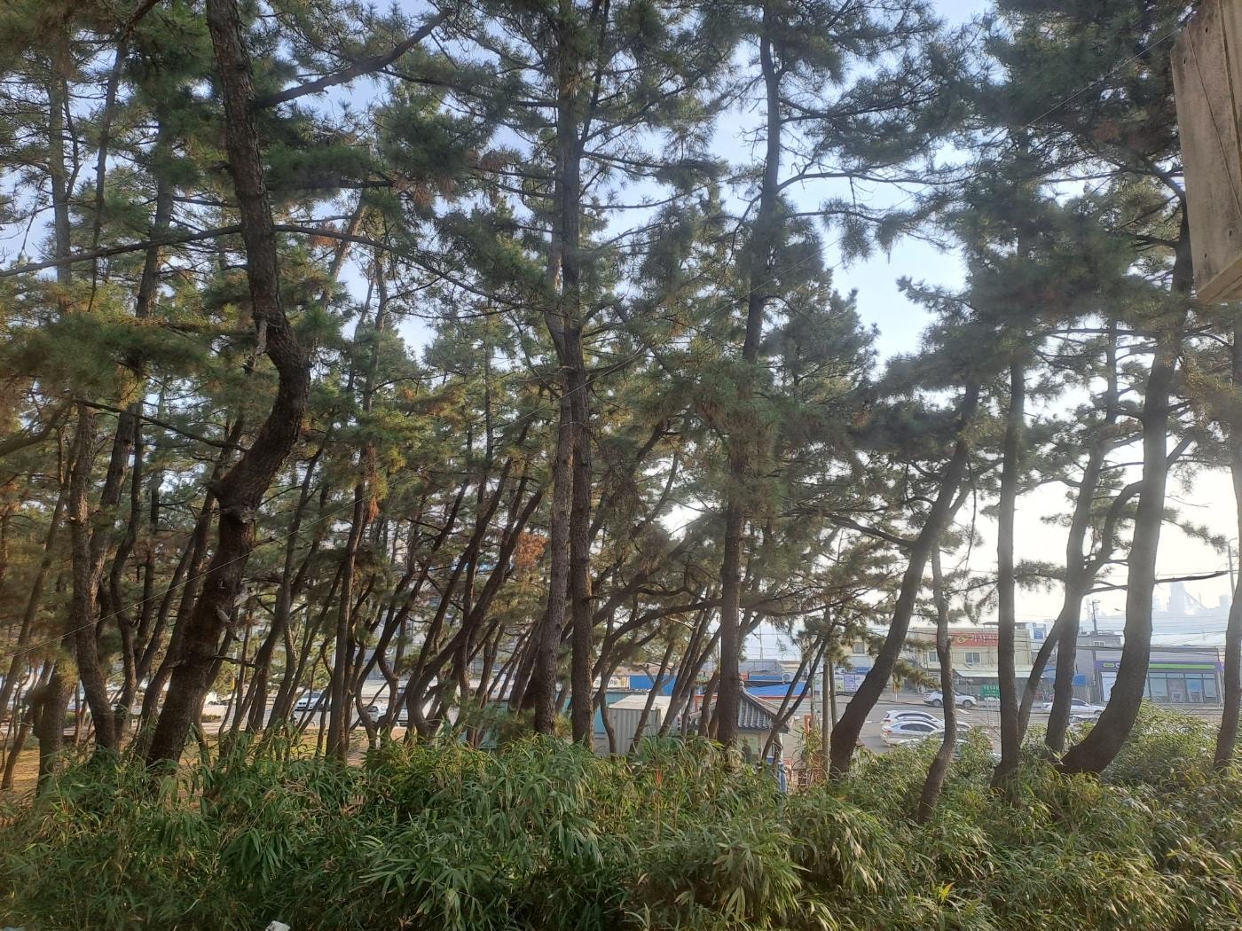 2층 객실 창문을 열면 보이는 풍광이에요!