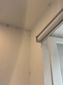 Tons of bugs caught in spider webs as I had to keep windows open at night or it was unbearably hot .