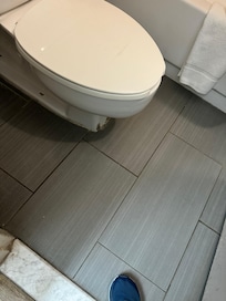 Nasty around toilet