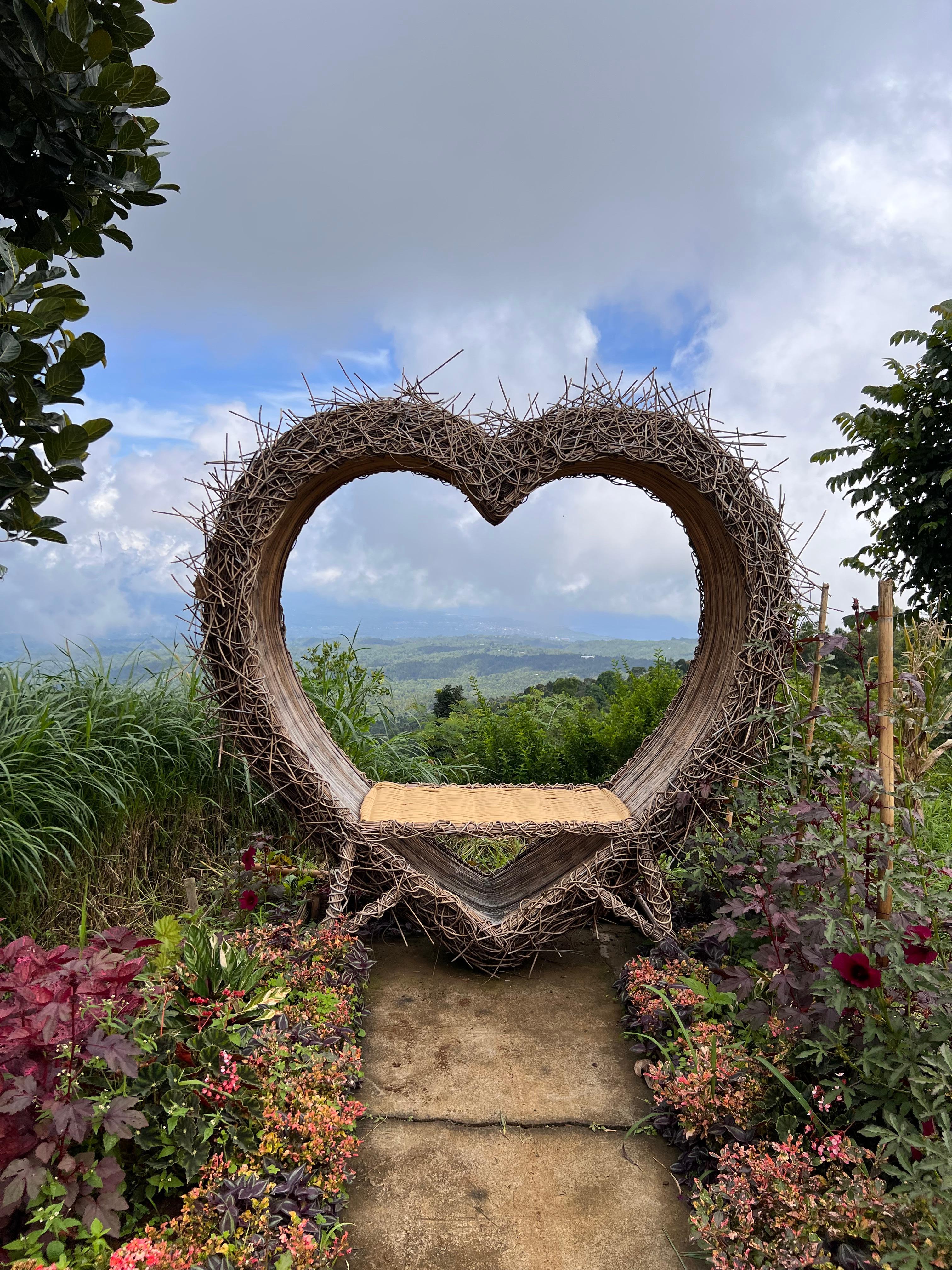 Wonderful places to take pictures on the property. This on is in the vegetable fields. 