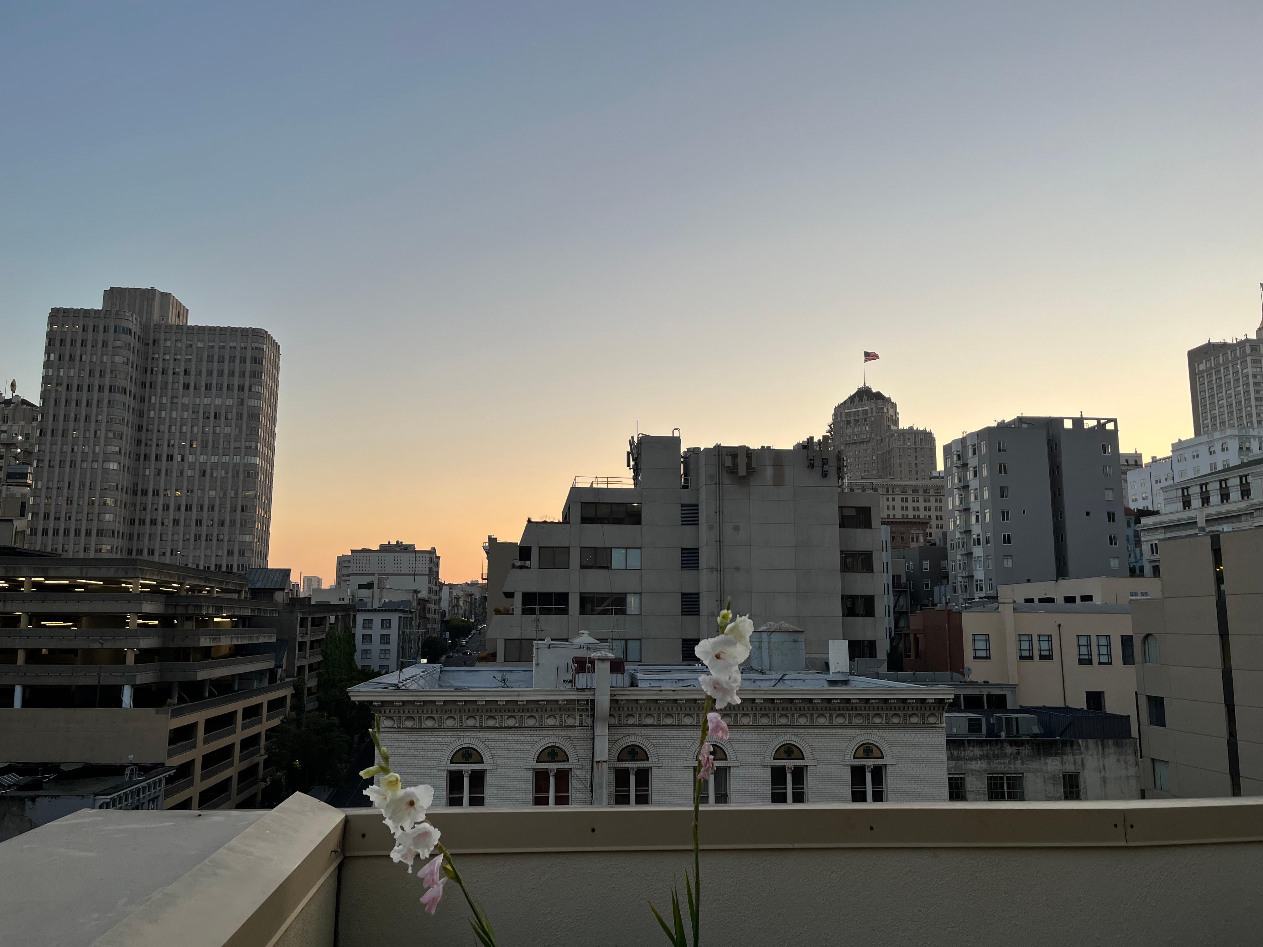Vistas desde la terraza del hotel