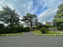 Just one small patch of a lovely property