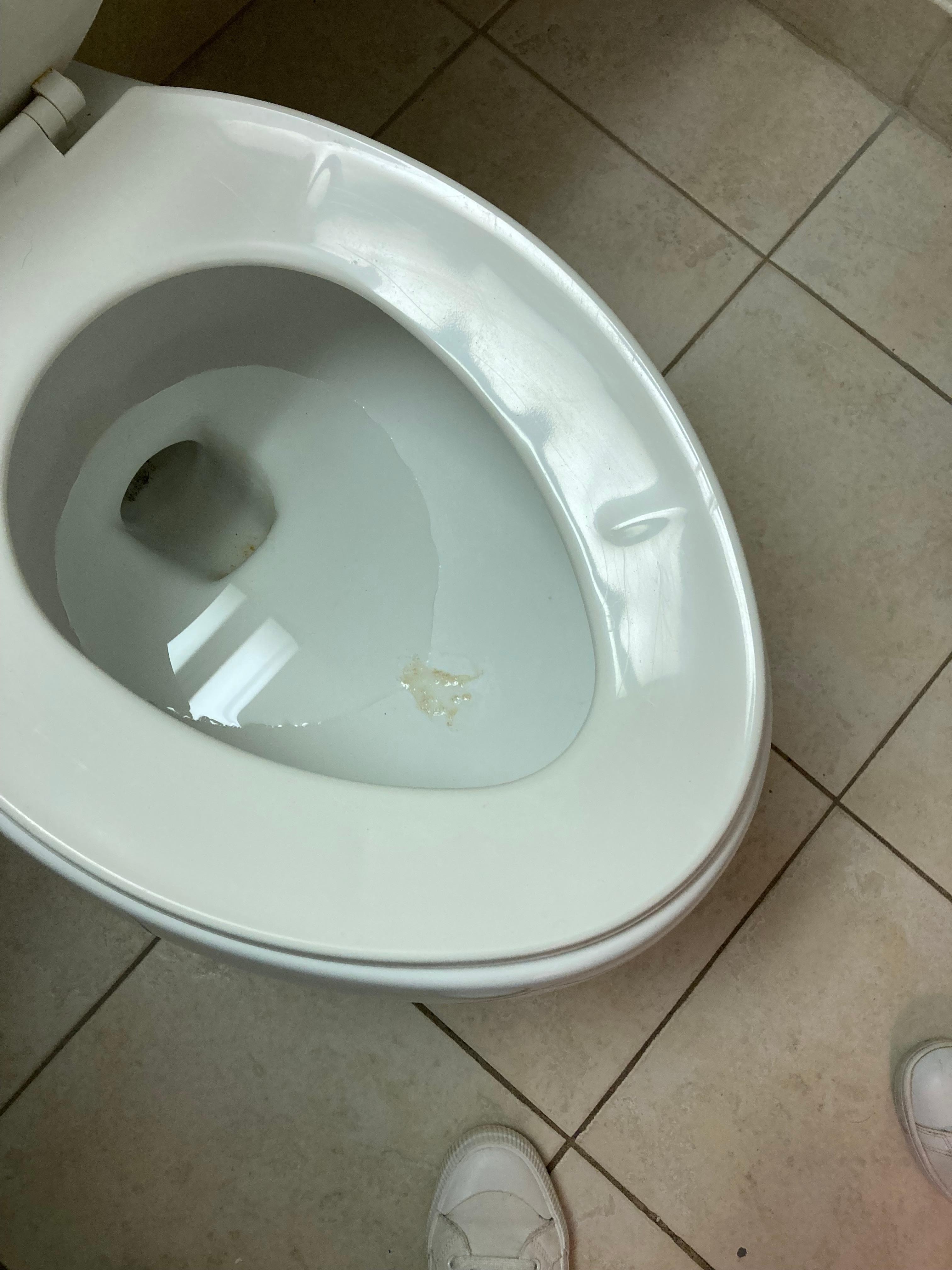 Dirty toilet with something inbit
