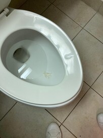 Dirty toilet with something inbit