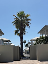 From the pool