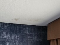 Mold in corner