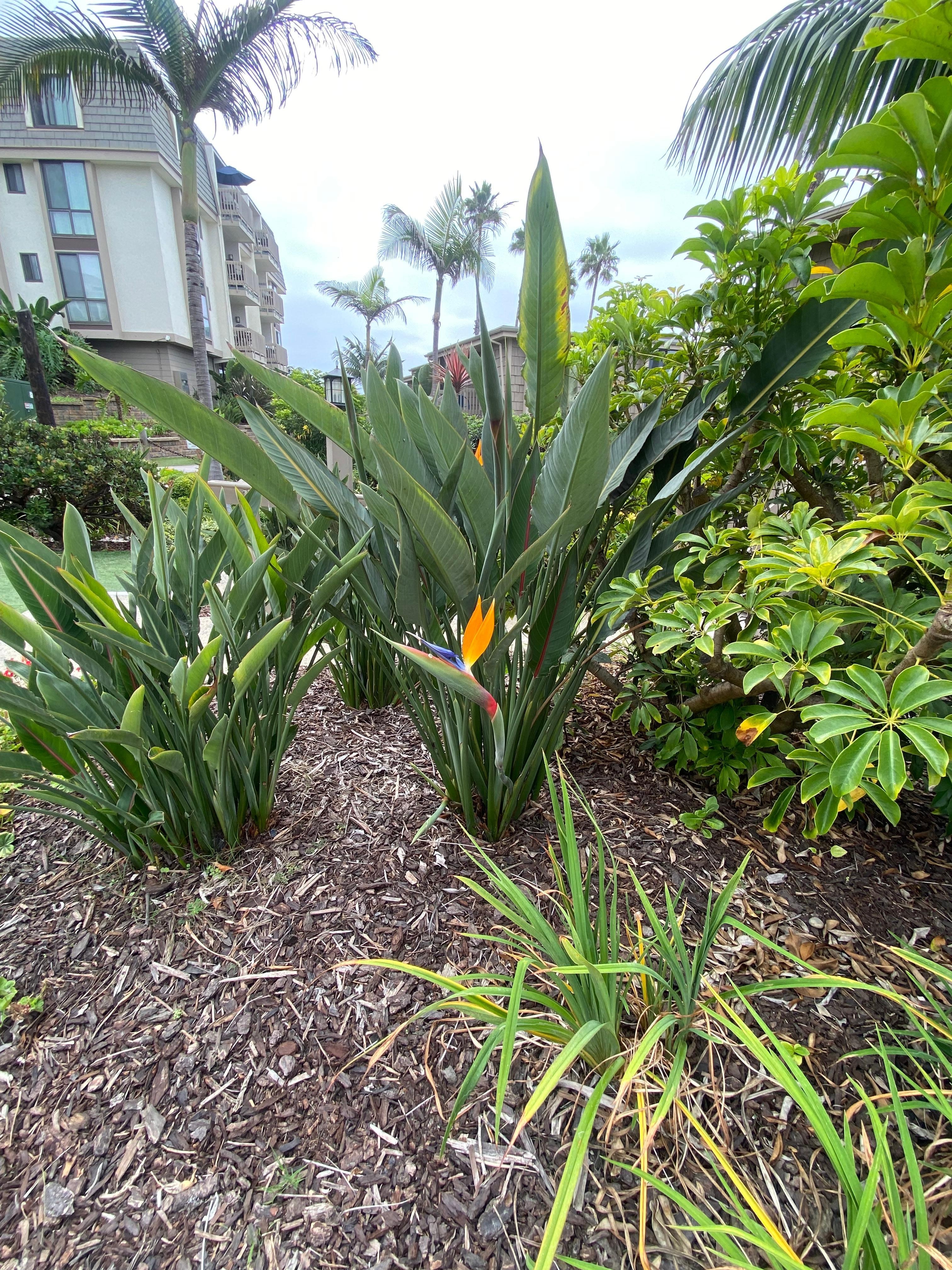 Beautiful landscaping 