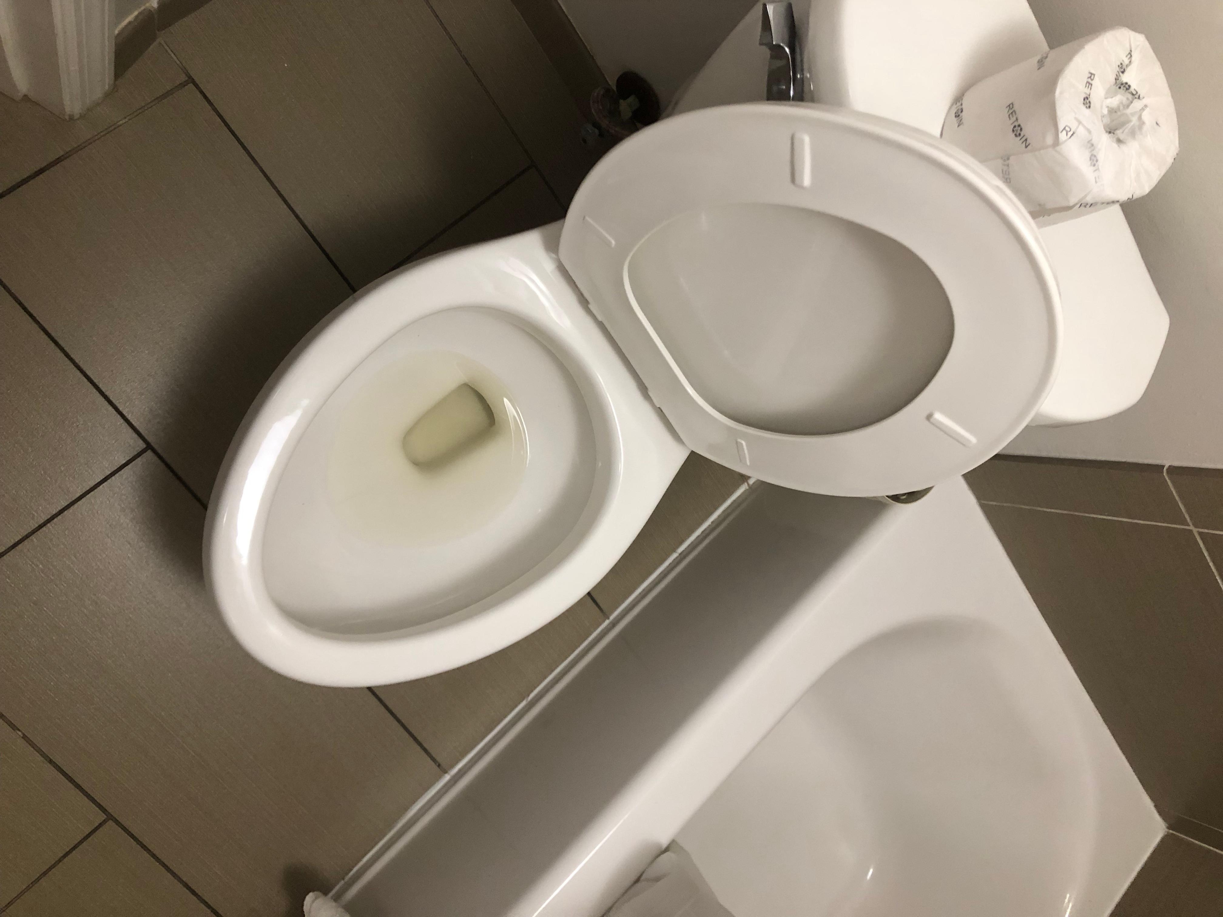 The water is yellow which I heard was normal, but the toilet was dirty other than this.