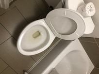 The water is yellow which I heard was normal, but the toilet was dirty other than this.
