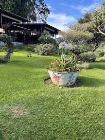 Hermosa vista en el restaurante, también la comida