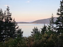 The view