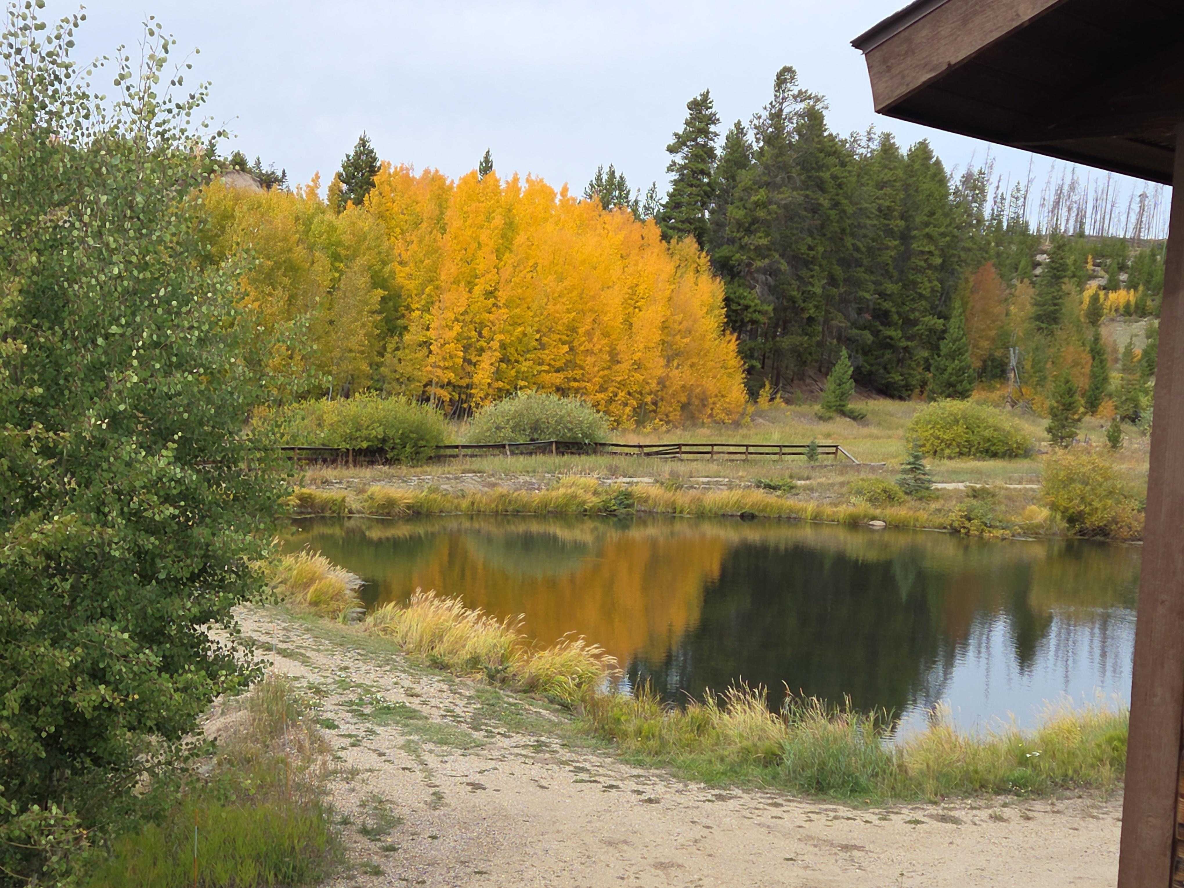 View from the front porch. 