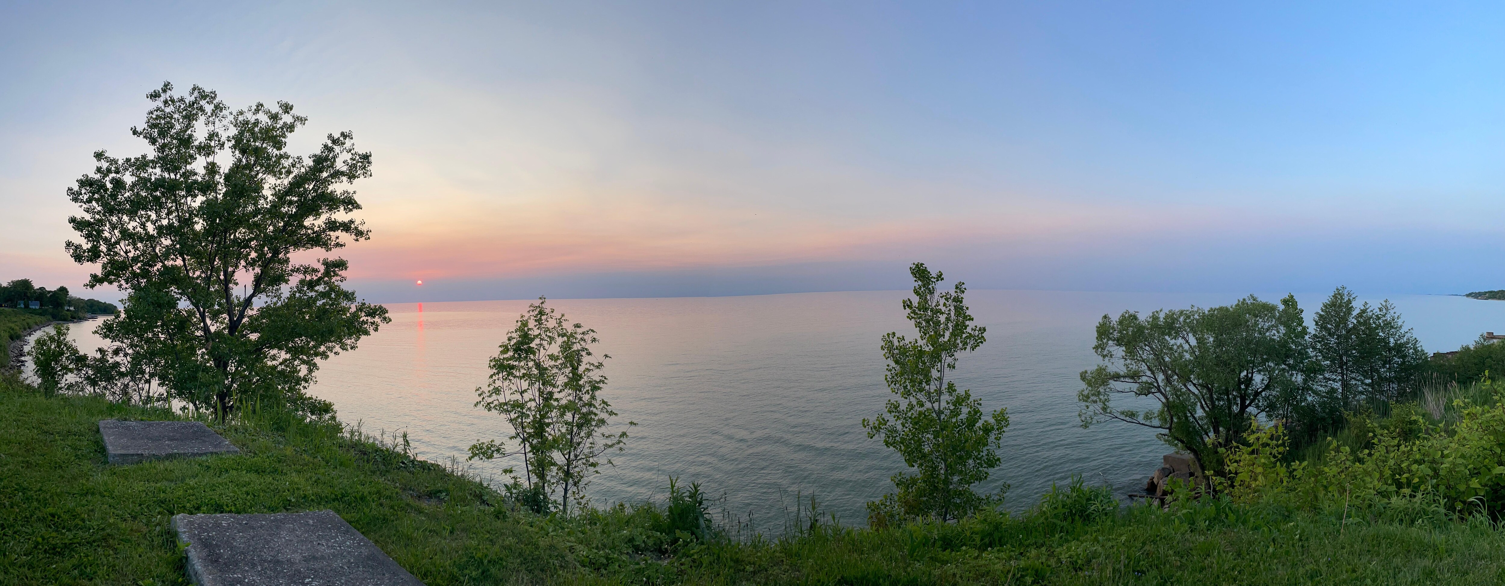 Panoramic 