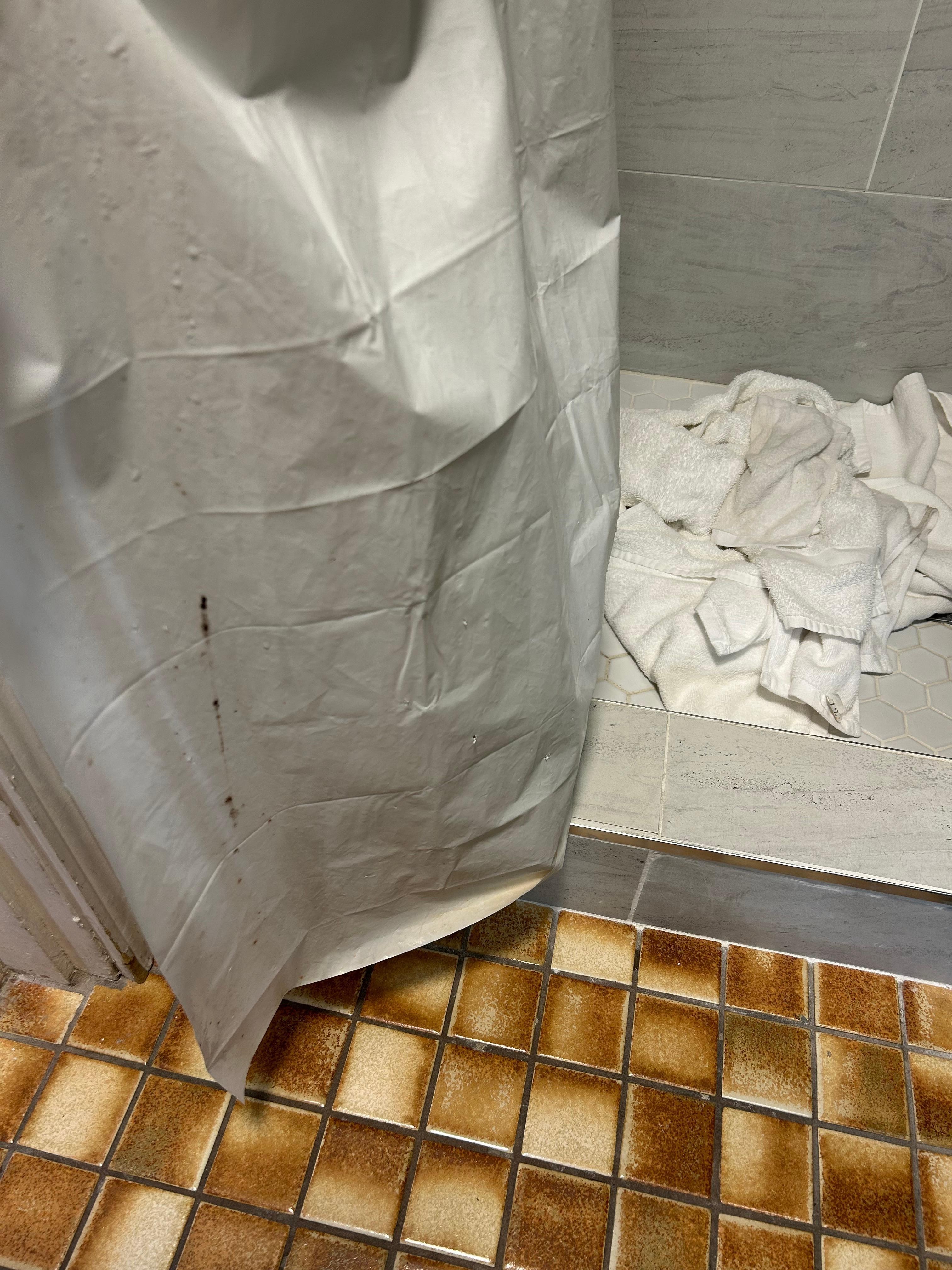 Moldy shower curtain 