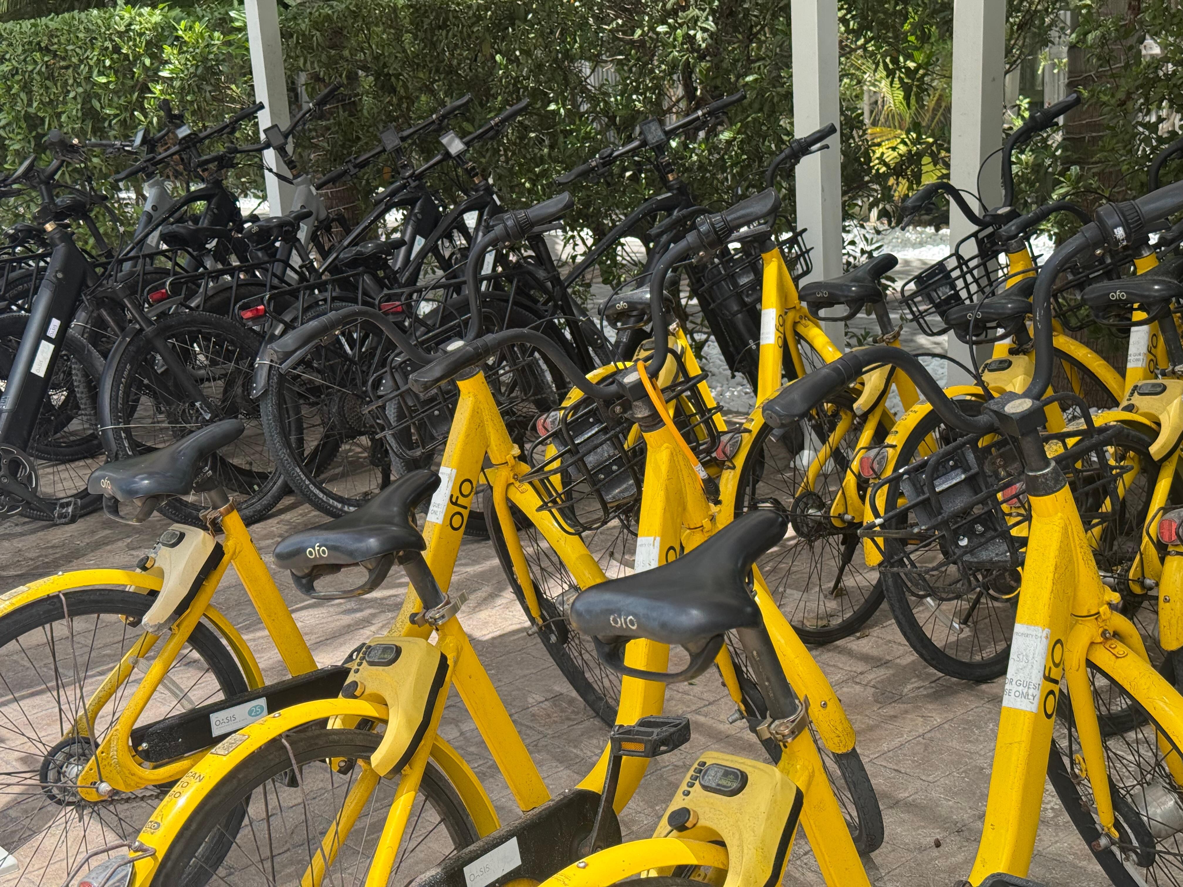 Regular and electric bikes available to sign out. 