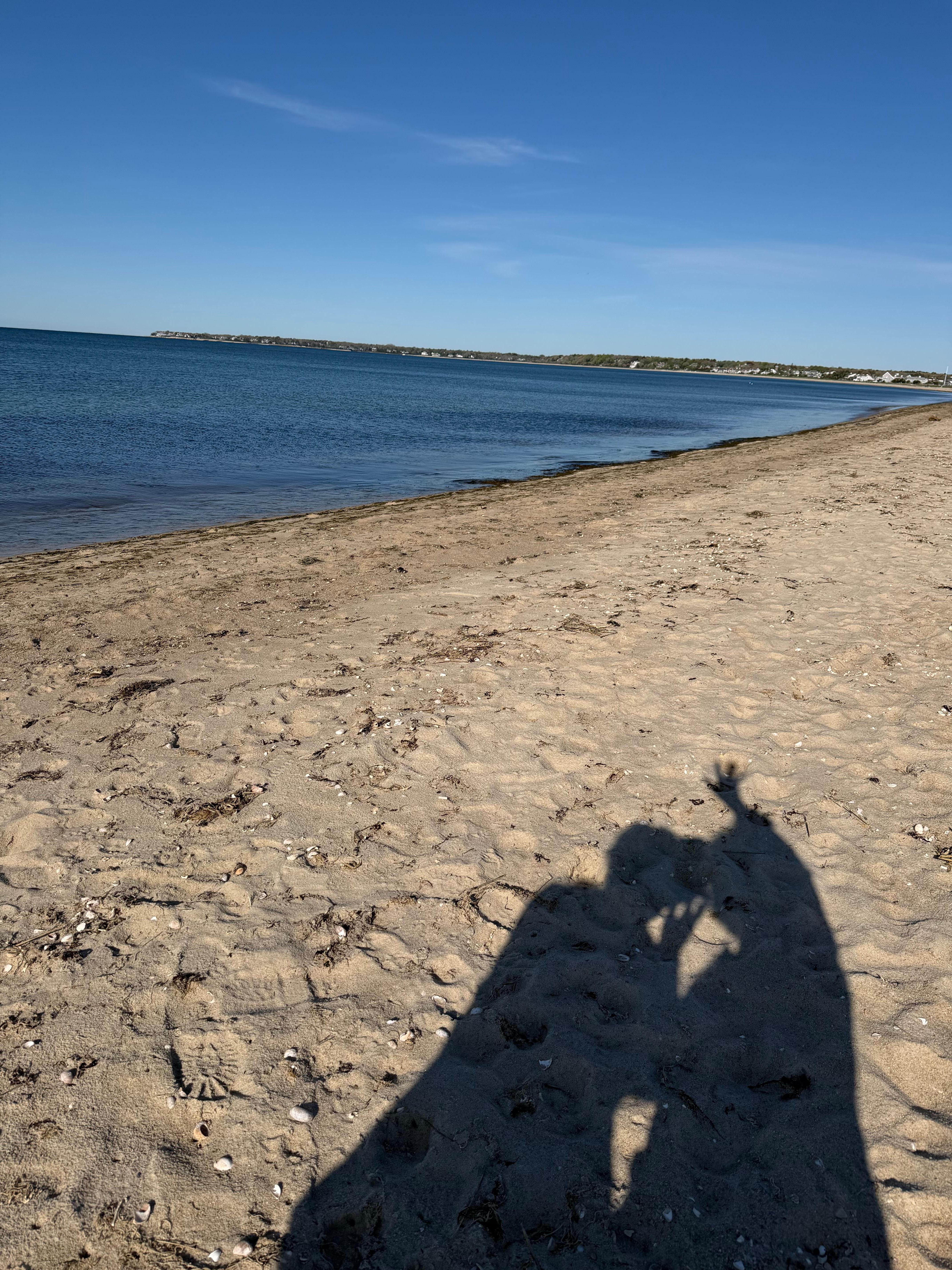 Waving goodbye to the nearby beach.
