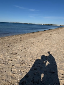 Waving goodbye to the nearby beach.