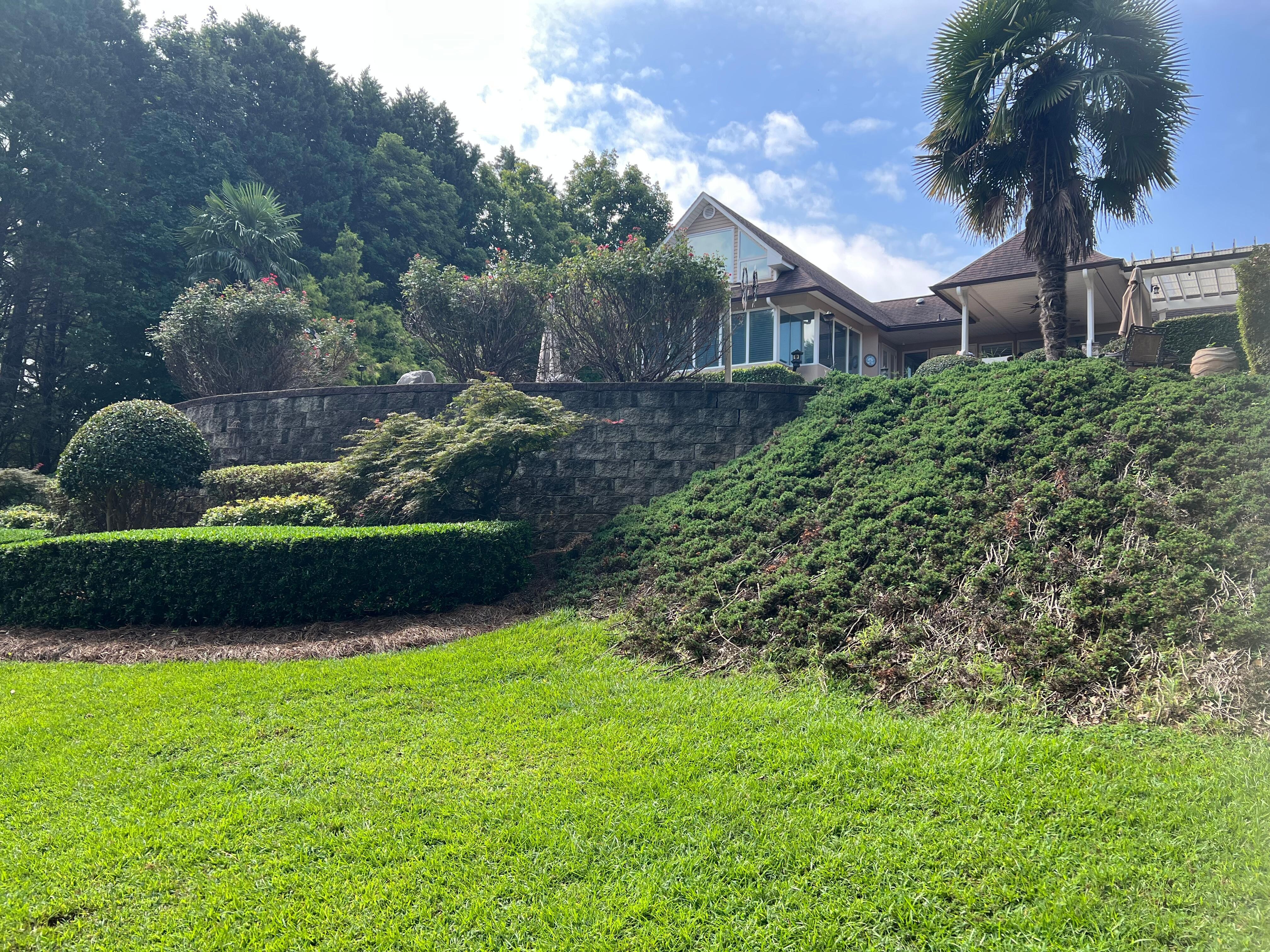 Gorgeous quiet property