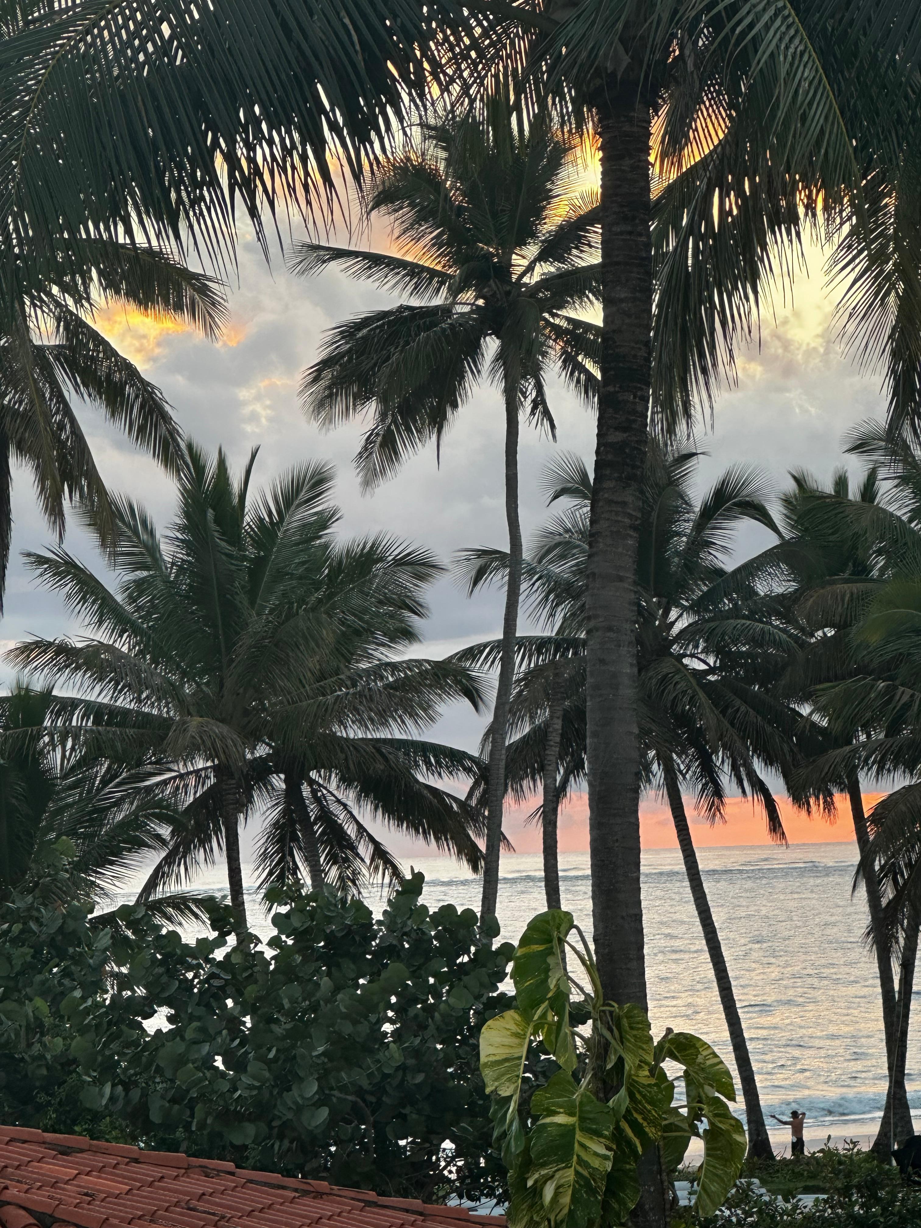 View from the upper deck 