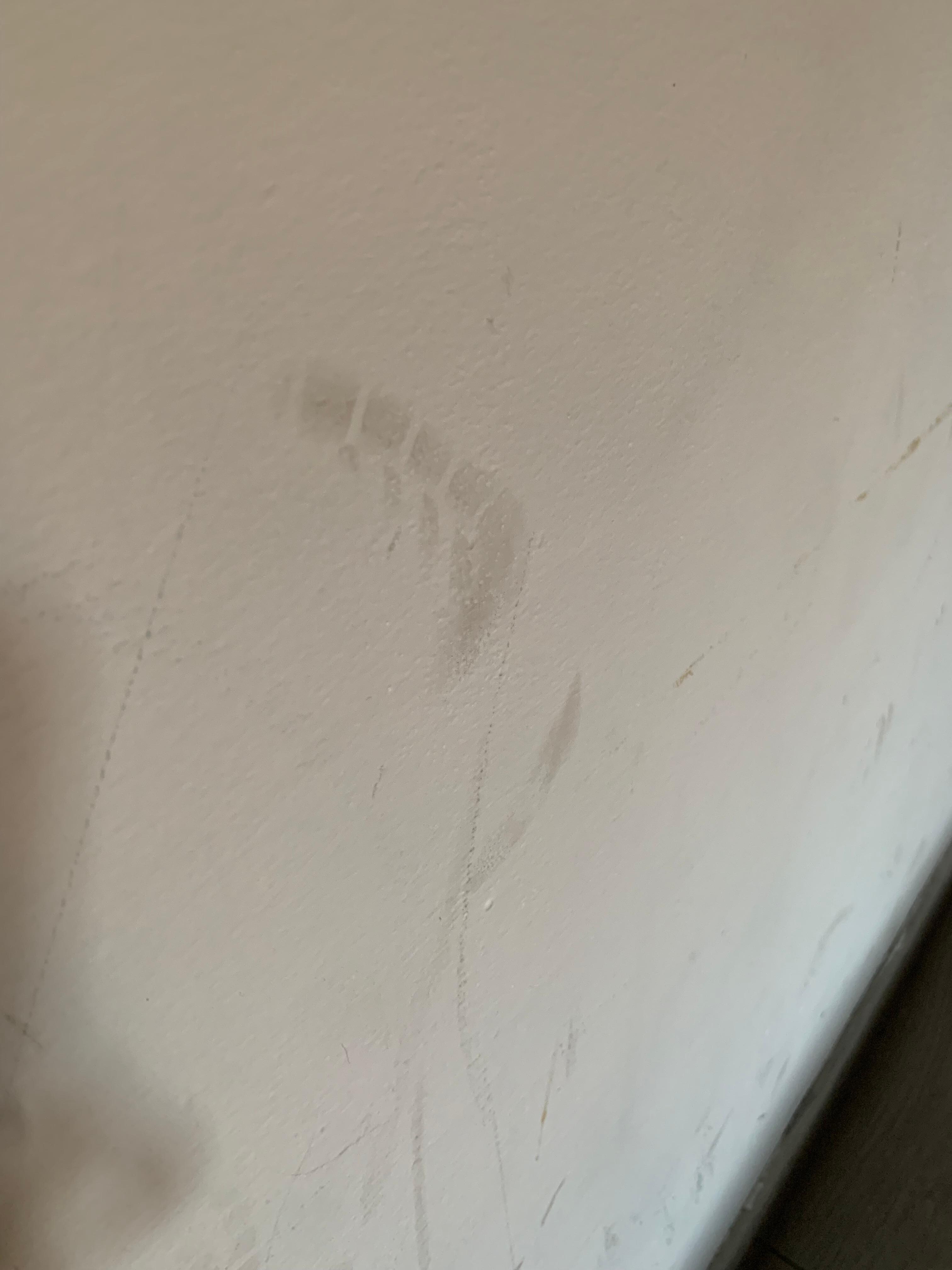 Wände im Zimmer 