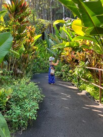 Tropical Botanical Garden