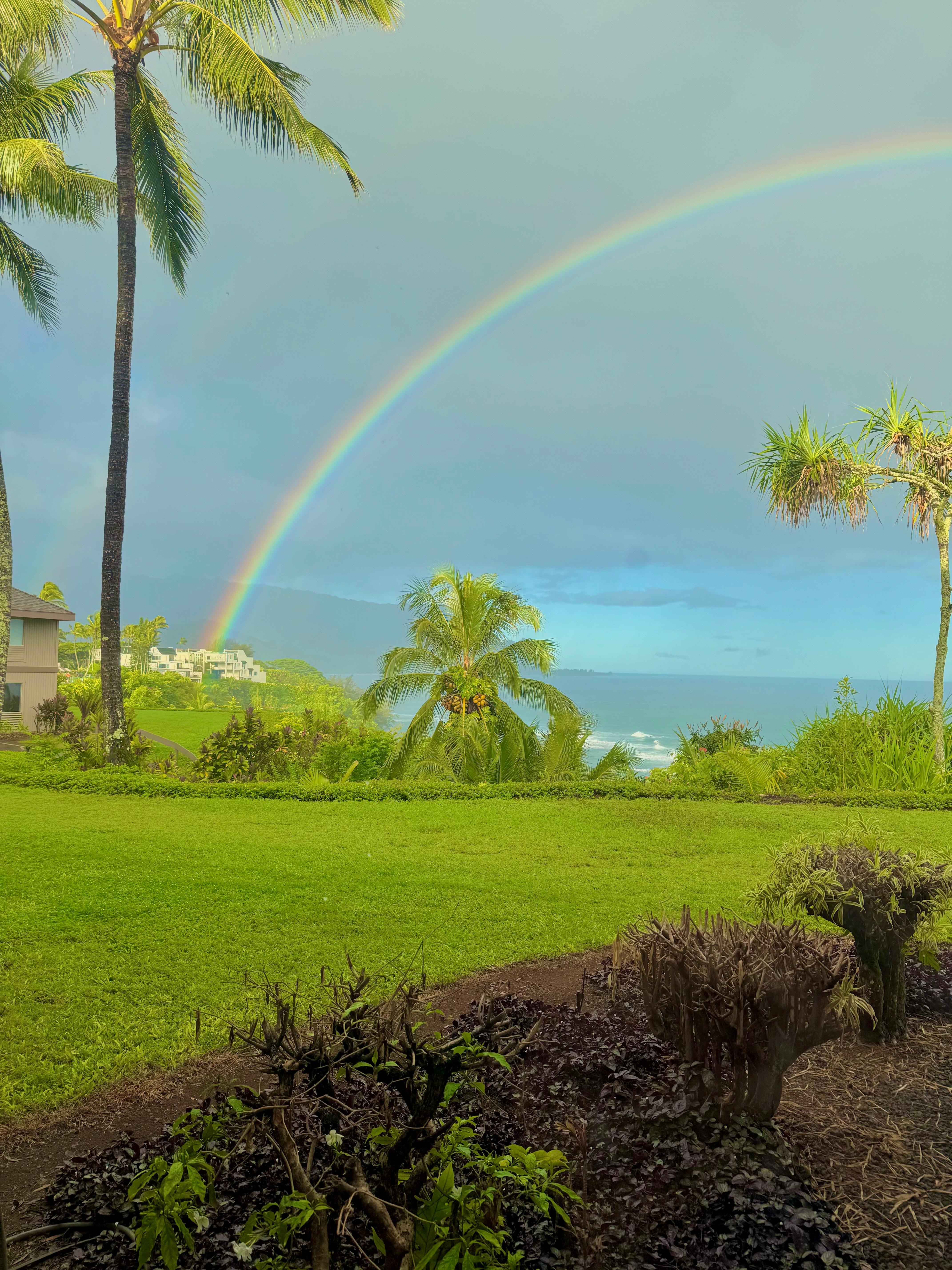 Morning view from this great condo. 