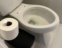 no toilet seat