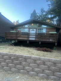 Front of the Cabin with dead christmas tree