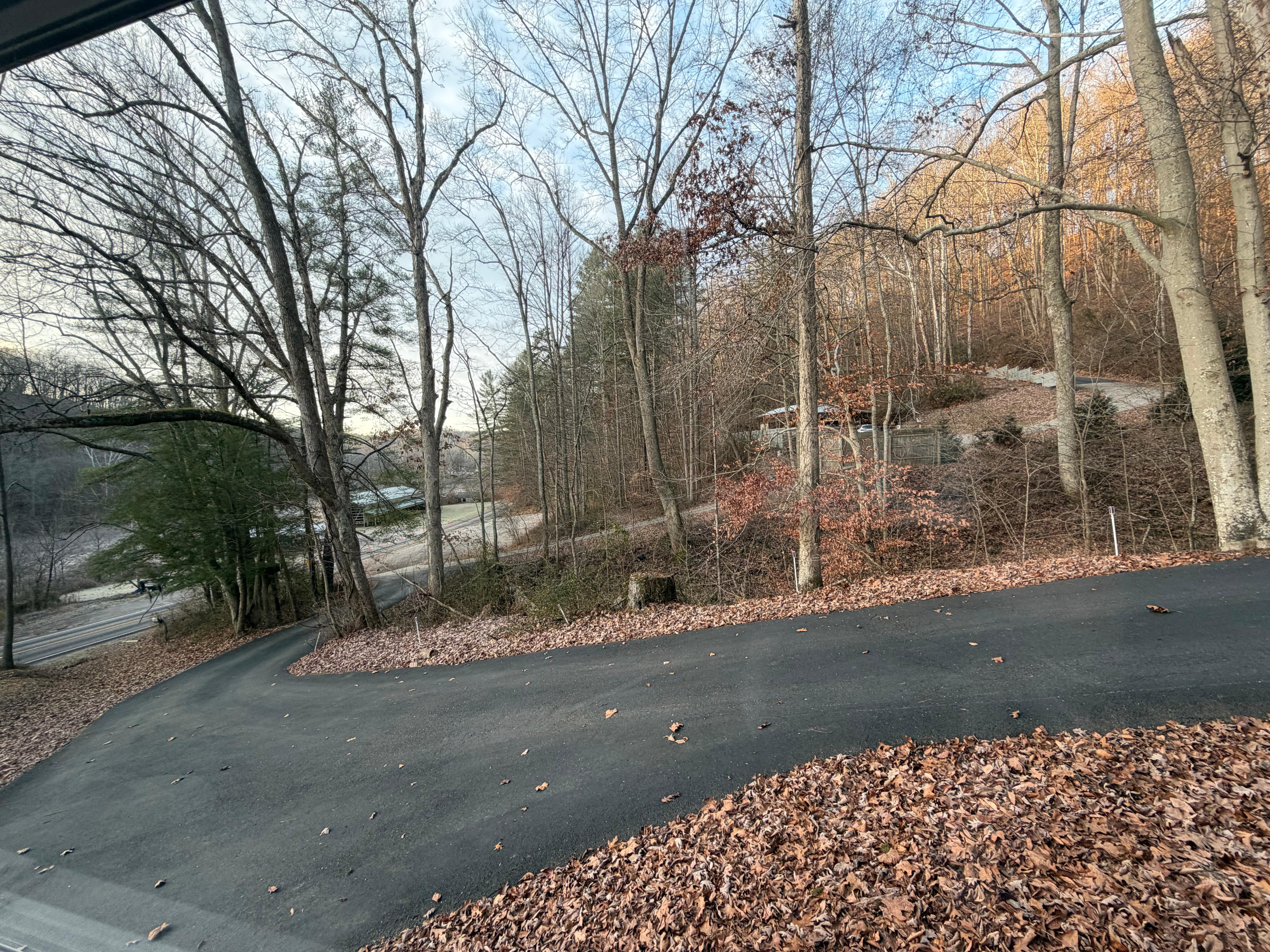 View from bedroom window 