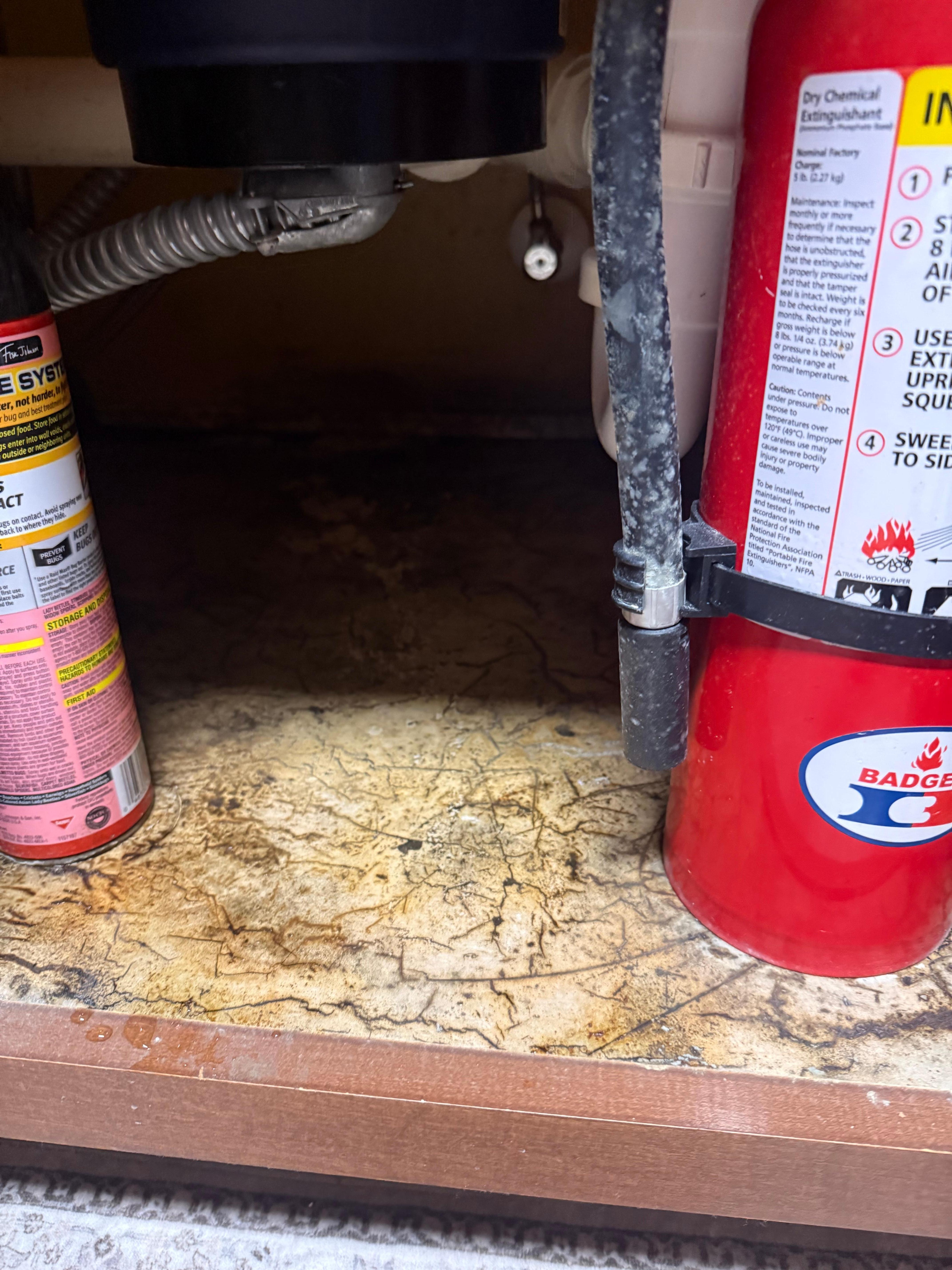 Underneath the sink.