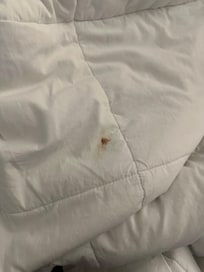 Dried blood stain on blanket
