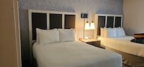 Comfy beds