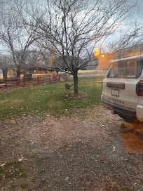 Deer in front of house