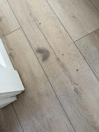 Another dust bunny and dirt
