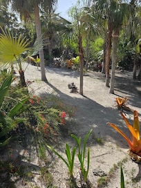 Path to the private beech