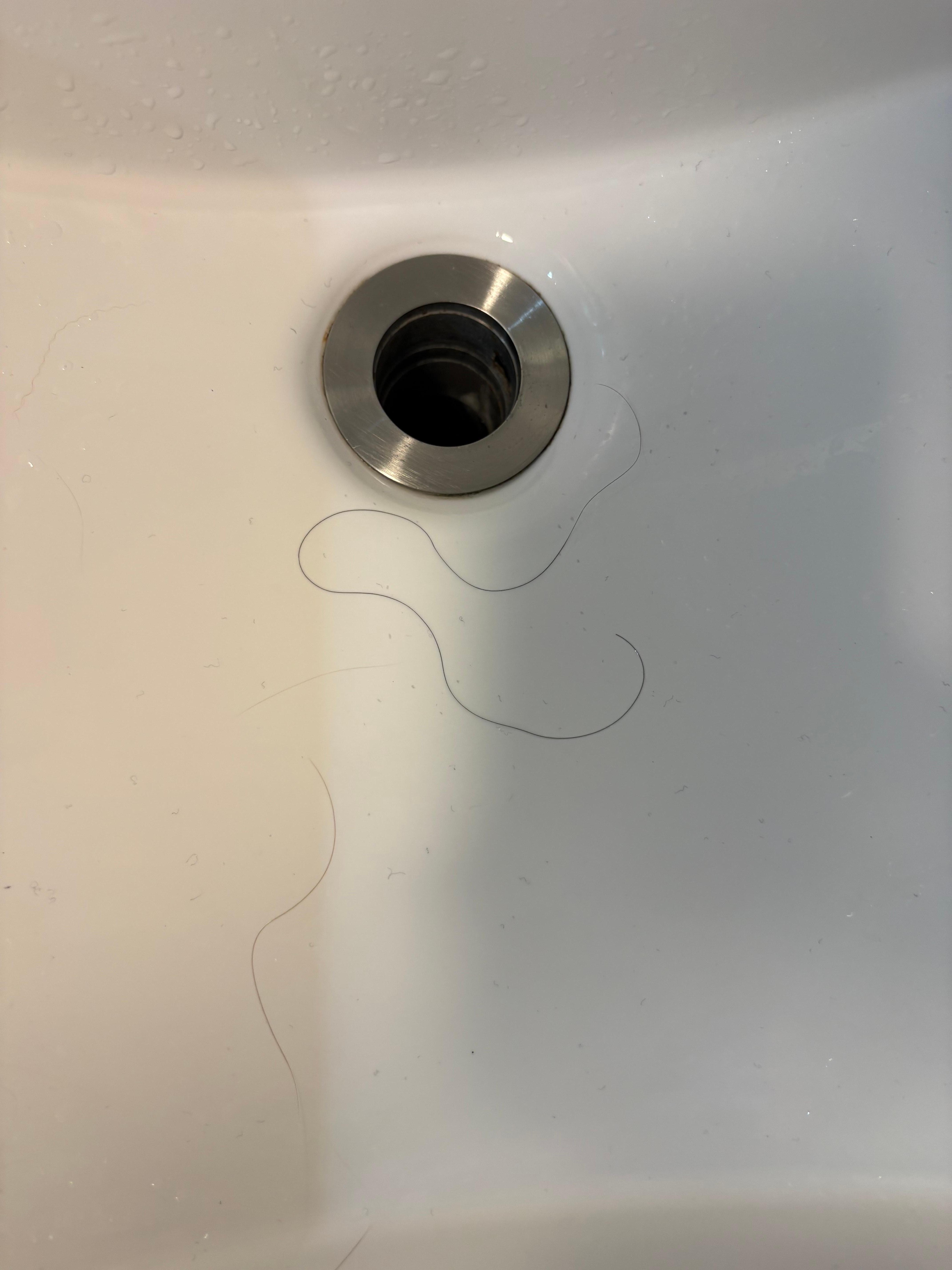 Black hair in the sink upon arrival