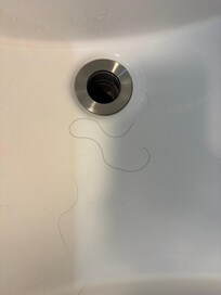 Black hair in the sink upon arrival