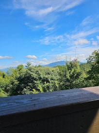 View from the patio