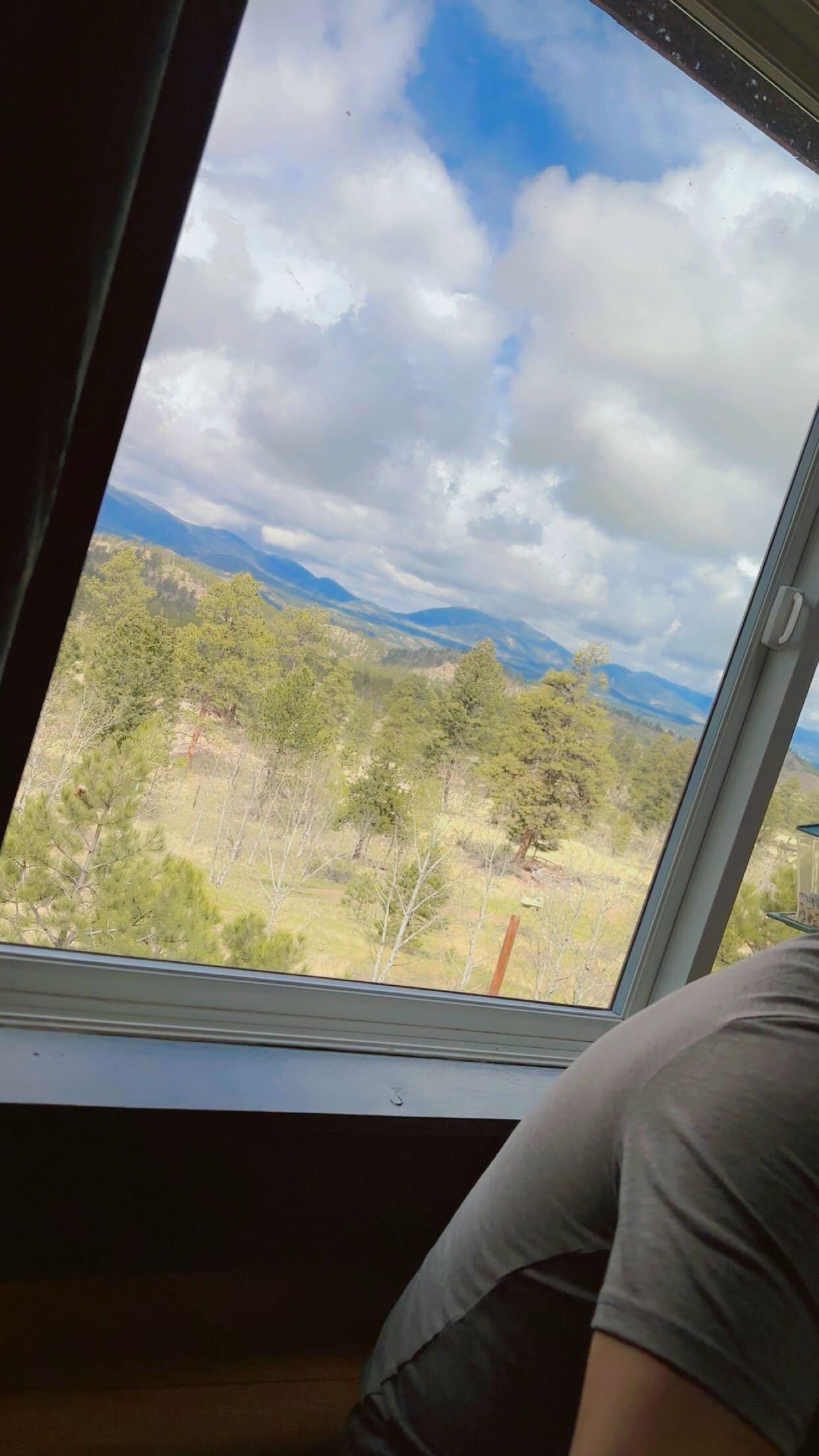 View from the nook 