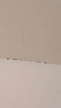 Mold on the shower wall. I wore my flip-flops when I showered here