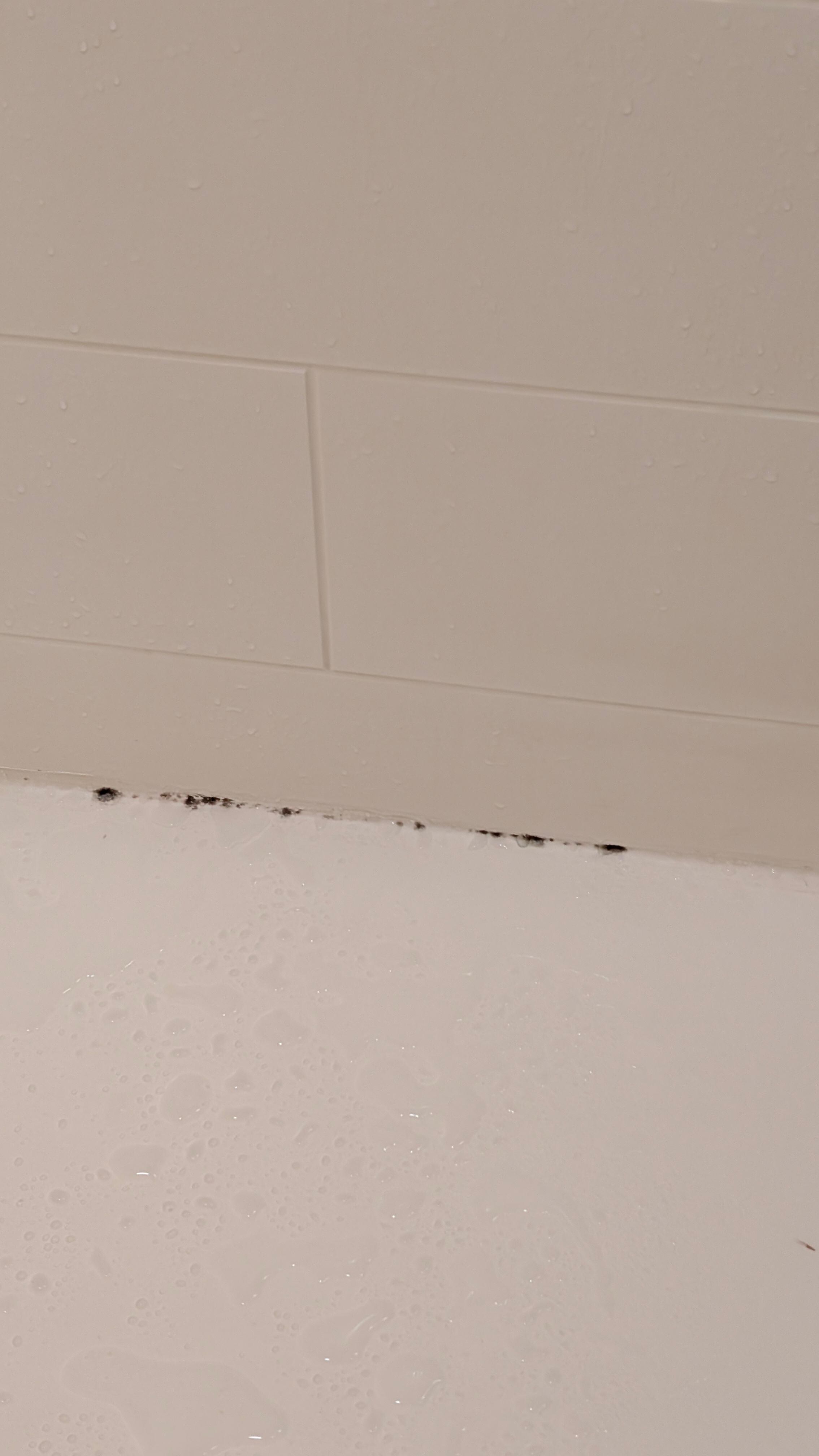 Mold on the shower wall. I wore my flip-flops when I showered here