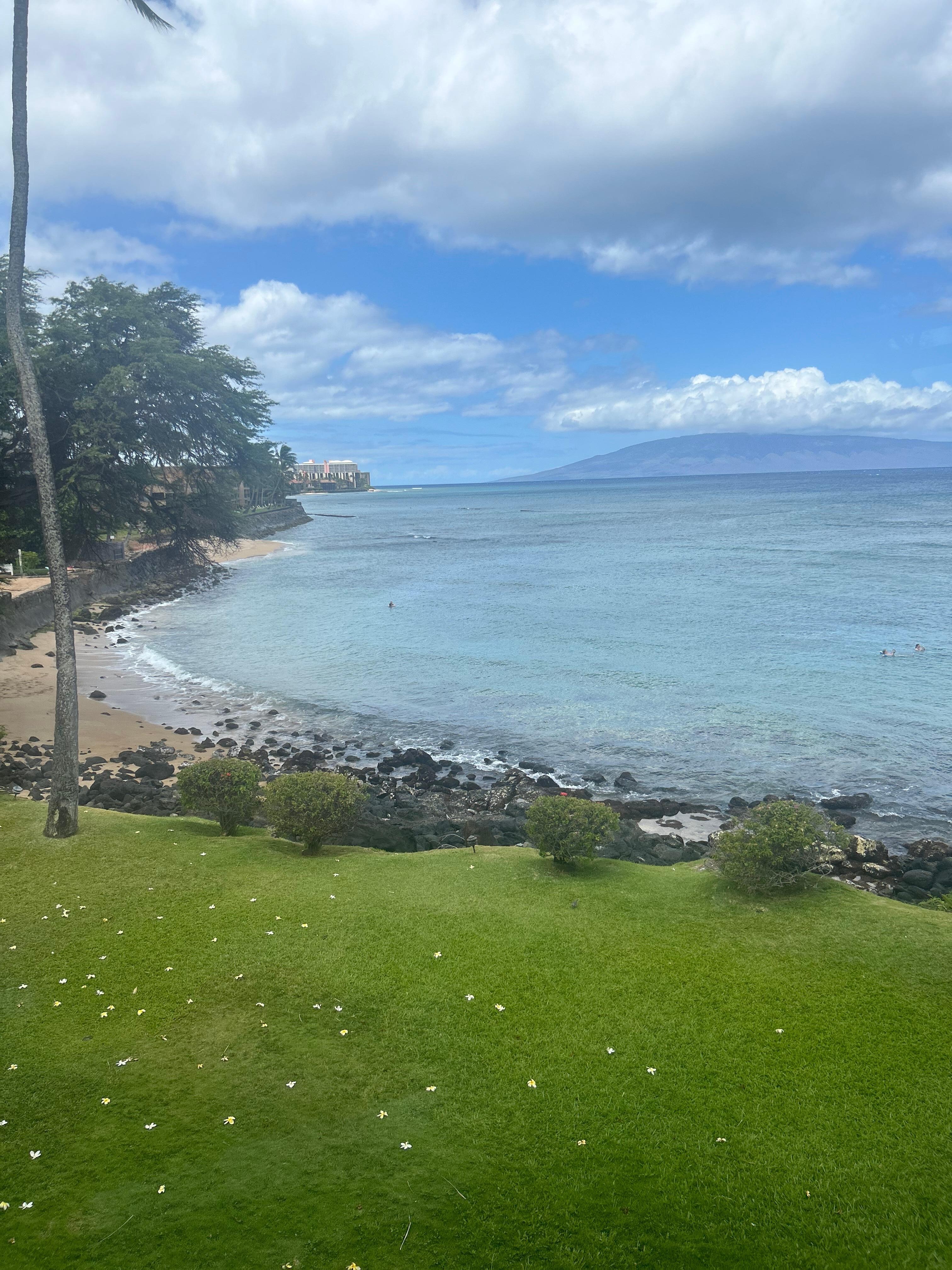 View from living room window