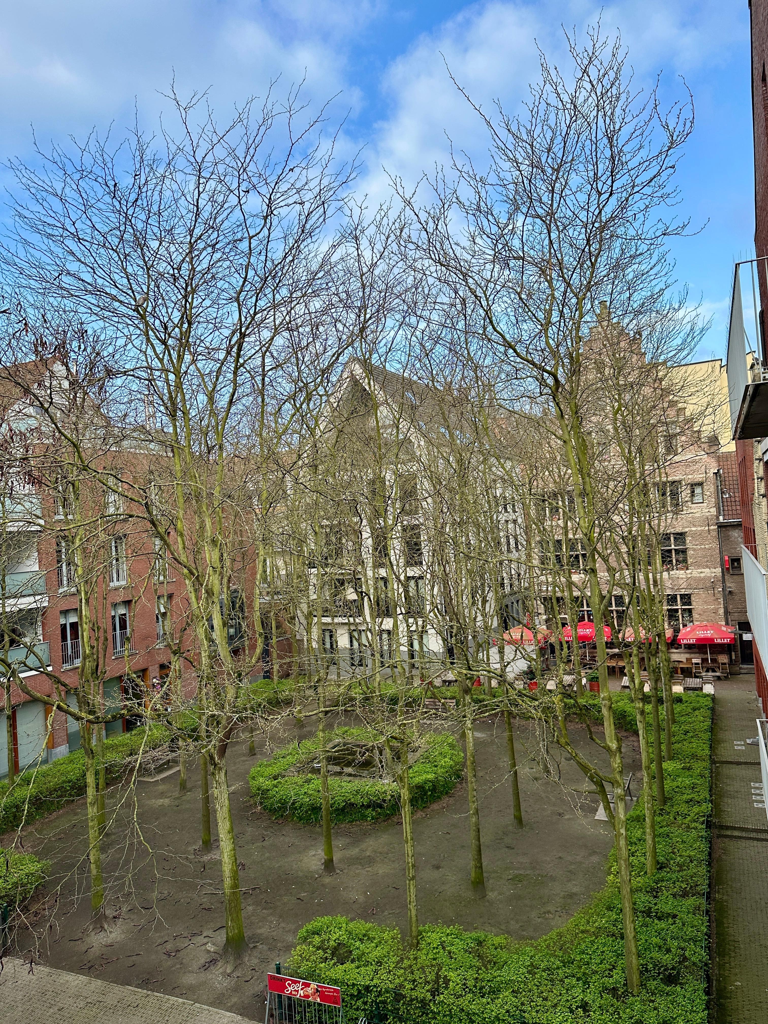 Der Ausblick tags und