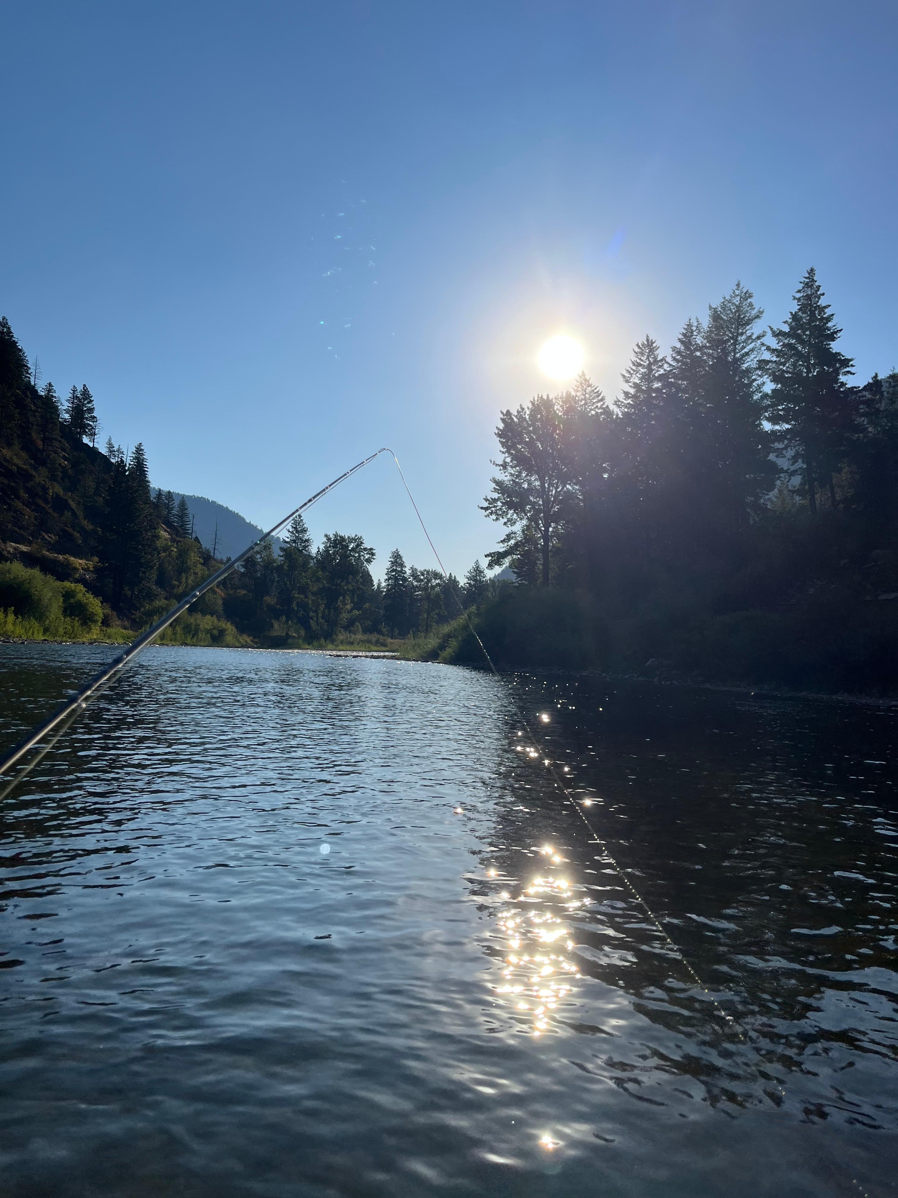 Right in the back yard!!