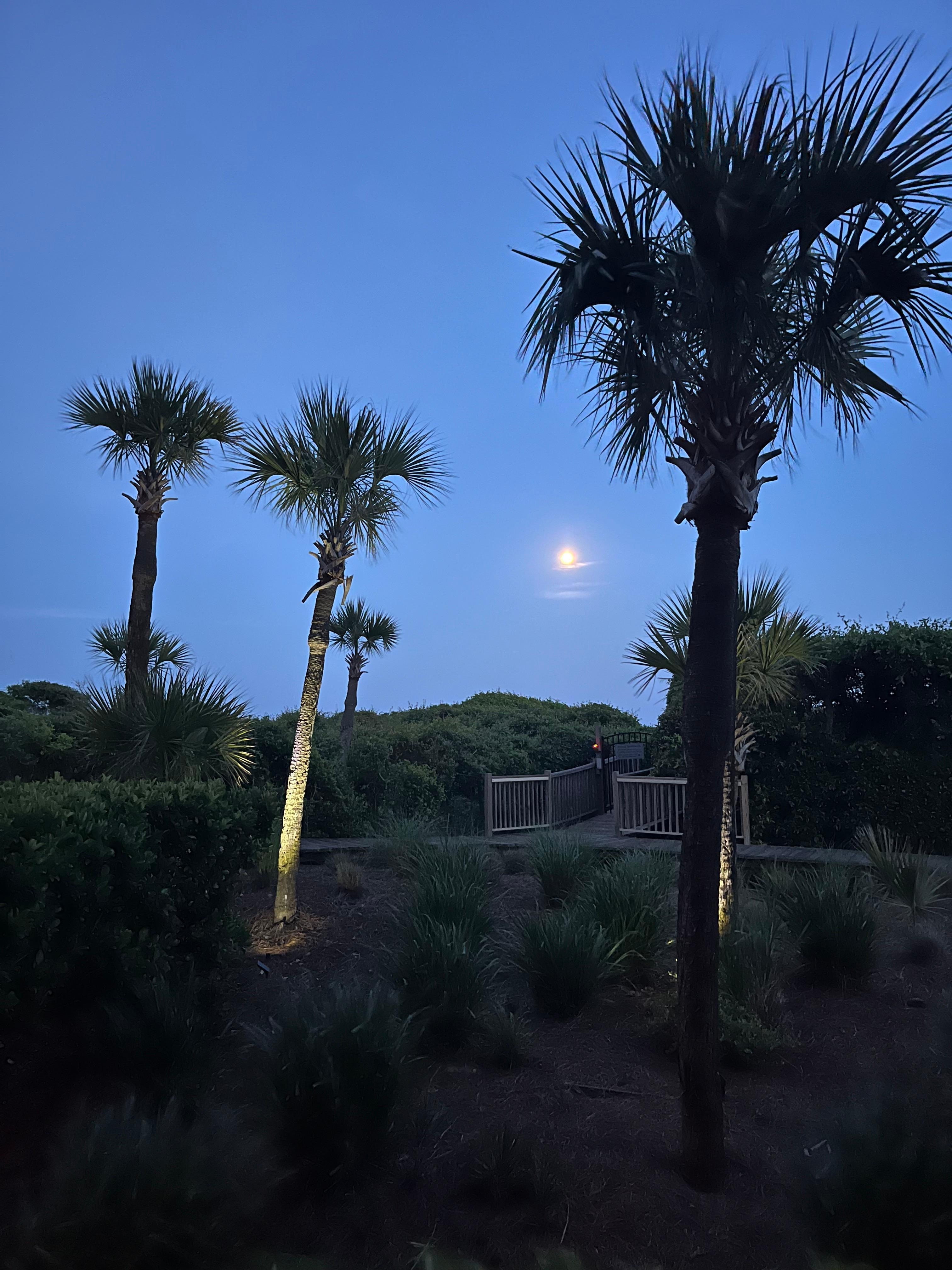 Night view from unit