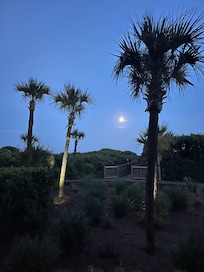 Night view from unit
