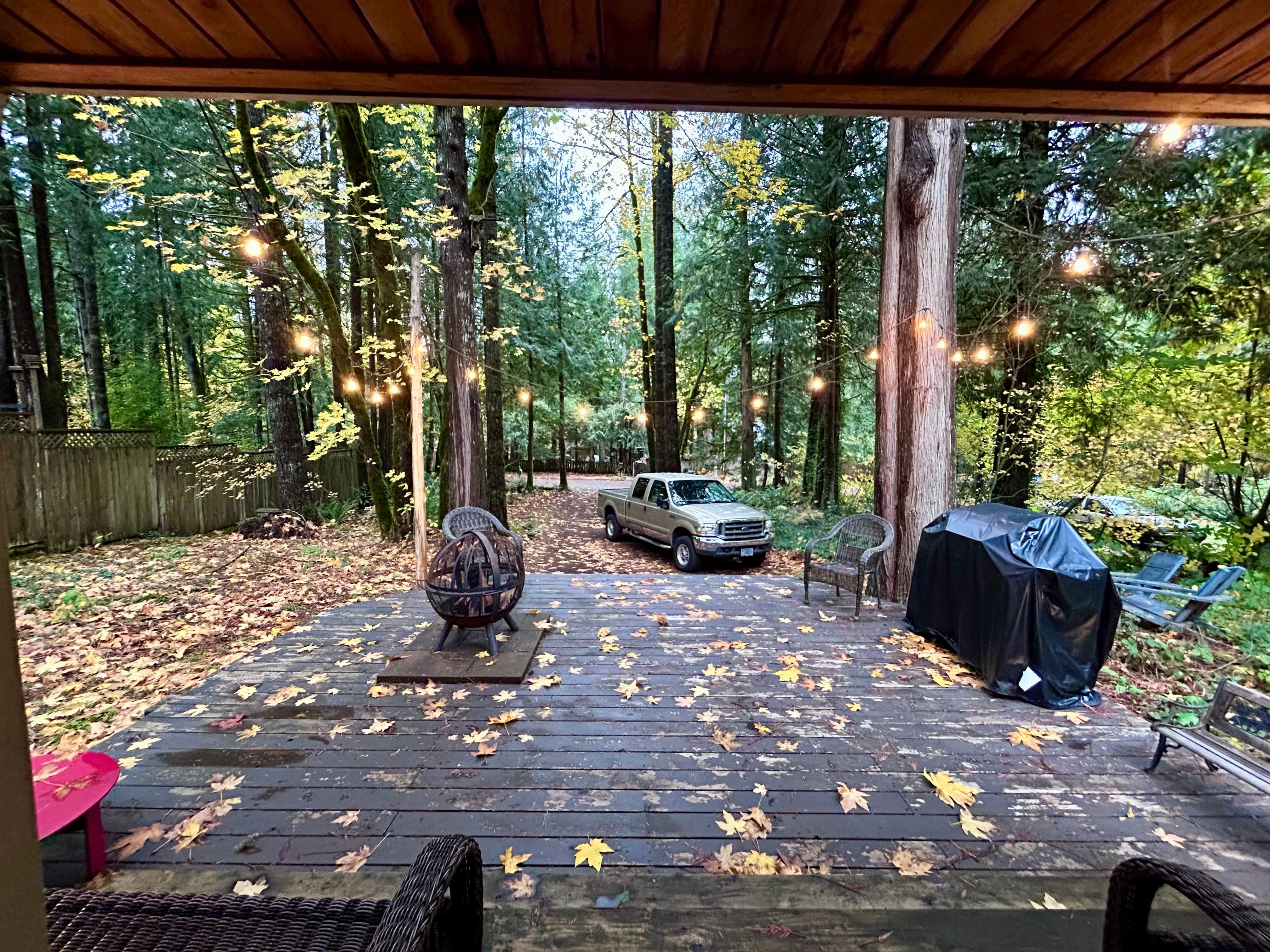 Good place to sit in the rain, so quiet 