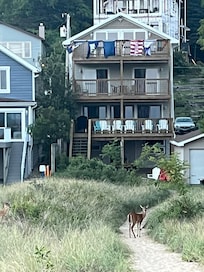 Morning friends saw 1-4 deer each morning at sunrise