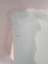 Brown crud came out of the jets so I didn't use it